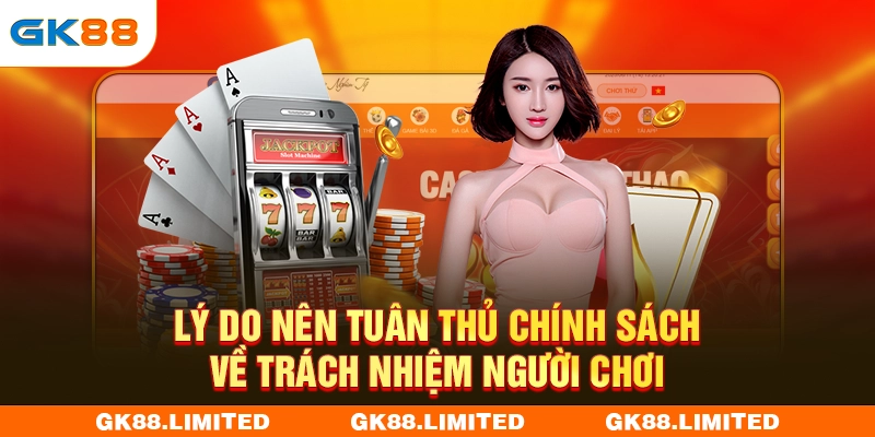 Lý do nên tuân thủ chính sách về trách nhiệm người chơi